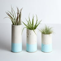Trio betonskih cilindara s zračnim biljkama