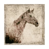 Zaštitni znak likovna umjetnost 'Bijeli konj I ilustracija' Platno umjetnost Irena Orlov
