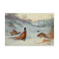 Zaštitni znak likovna umjetnost 'fazana u snijegu' platno umjetnost Archibalda Thorburna