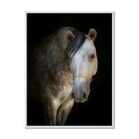 Izbliza portret bijelog konja uokvirenog fotografskog platna umjetnički tisak