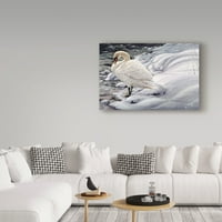 Zaštitni znak likovna umjetnost 'Edge of Light Mute Swan' Canvas Art by Jeff Tift