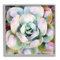 Stupell Industries sočna biljka podebljana nijansa botanički i cvjetni slikanje siva uokvirena umjetnička print zidna umjetnost