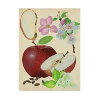 Zaštitni znak likovna umjetnost 'Apple and Blossom Study I' platno umjetnost Melissa Wang