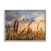 Stupell Industries Seolside Pheat Field Farmland Cloud Sunset Sky, 24, dizajn Lori Deiter