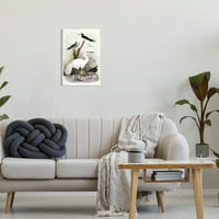 Stupell Industries Varied Crane ptice okupile su rijeke Streak Botanicals Slikanje Umjetnika Umjetnički print Umjetnost, Dizajn Piddixa