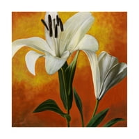 Zaštitni znak likovna umjetnost 'Bijeli cvijet preko narančaste svjetlosti 1' Umjetnost platna Pabla Estebana