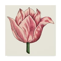 Zaštitni znak likovne umjetnosti 'Tulip Garden VII' Canvas Art by Vision Studio
