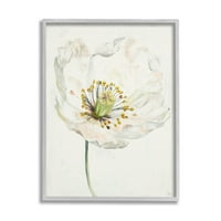 Stupell Industries Delikate ljepote grafičke umjetnosti bijelog cvijeća siva uokvirena umjetnička print zidna umjetnost, dizajn Patricia