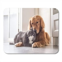 Sivi pas, britanska mačka i Zlatni retriver zagrljaju obitelj, slatka kućna podloga za miša, podloga za miša, podloga za miša