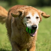 Kućni pas mačka elastično čišćenje zuba štene interaktivna igračka za ugriz hranilica za pse igračke za curenje hrane